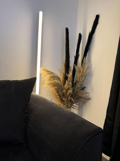 Luxury Cozy 3 Bed Apartment 5Mins From City - Free Parking! Nottingham Exteriér fotografie